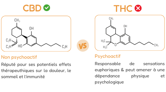 différences entre CBD et THS