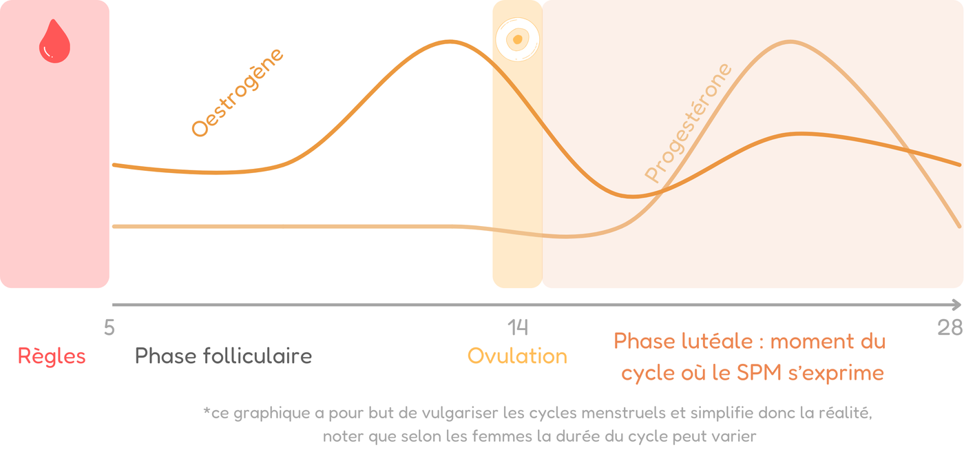 graphique illustrant le cycle menstruel