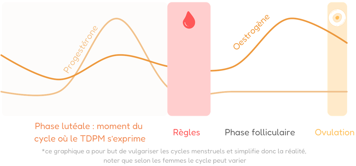 schéma du cycle menstruel et de la phase lutéale