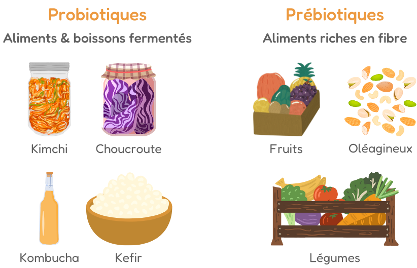 exemples de pro et prébiotiques