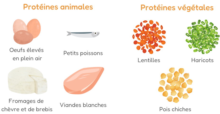 exemples de protéines de bonne qualité